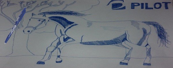 Pilot